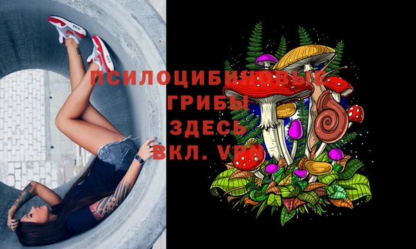 скорость Алексин
