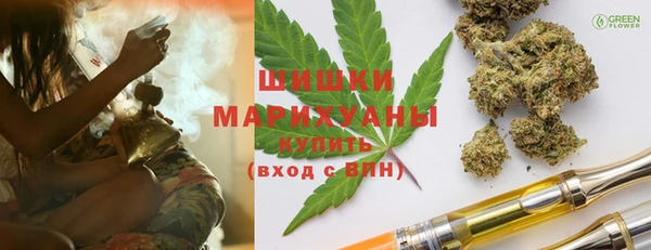 молекула духа Белая Холуница