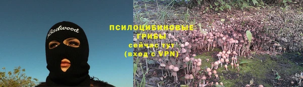 скорость Алексин